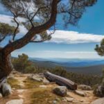 Escape the City: 7 Must-Try Hiking and Cycling Routes Near Madrid Sierra de Guadarrama National Park 마드리드
