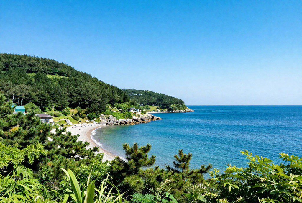 속초 여행